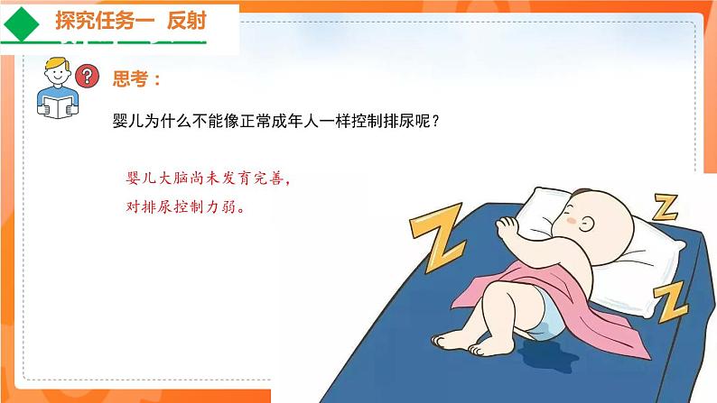 4.6.3神经调节的基本方式-2021-2022学年七年级生物下学期同步课件(人教版)第8页