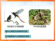 7.3.2生物进化的历程-2021-2022学年八年级生物下册同步课件（人教版）