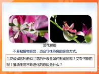 7.3.3生物进化的原因-2021-2022学年八年级生物下册同步课件（人教版）