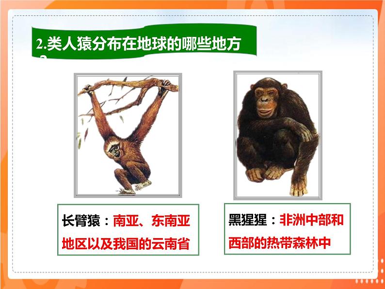 4.1.1人类的起源和发展(课件)-2021-2022学年七年级生物下册课件(人教版)第5页