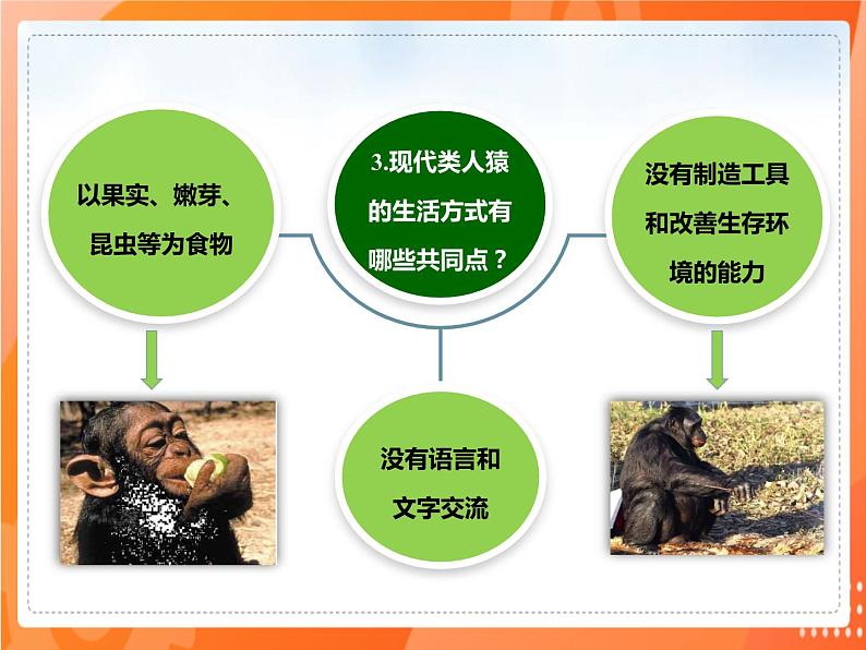4.1.1人类的起源和发展(课件)-2021-2022学年七年级生物下册课件(人教版)第7页