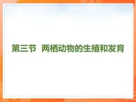 7.1.3两栖动物的生殖和发育-2021-2022学年八年级生物下册同步课件（人教版）