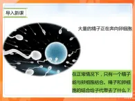 7.2.2基因在亲子代间的传递-2021-2022学年八年级生物下册同步课件（人教版）