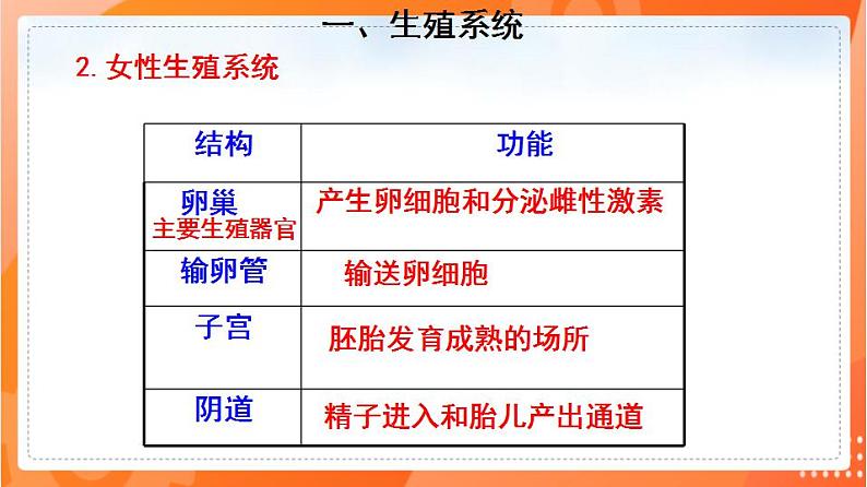 4.1.2人的生殖(课件)-2021-2022学年七年级生物下册同步(人教版)第8页