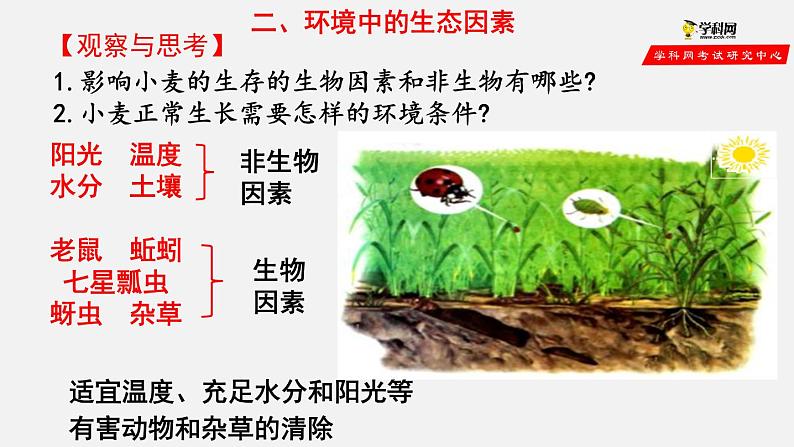 1.2.1 生物与环境的关系(第1课时)(课件)-2021-2022学年七年级生物上册(人教版)第3页