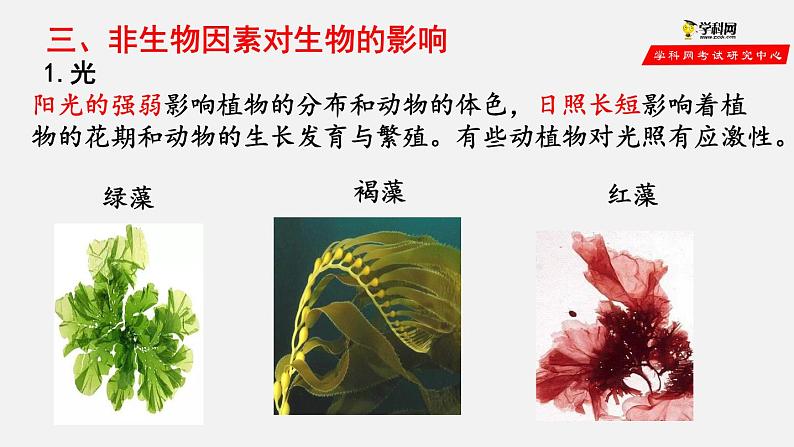 1.2.1 生物与环境的关系(第1课时)(课件)-2021-2022学年七年级生物上册(人教版)第4页