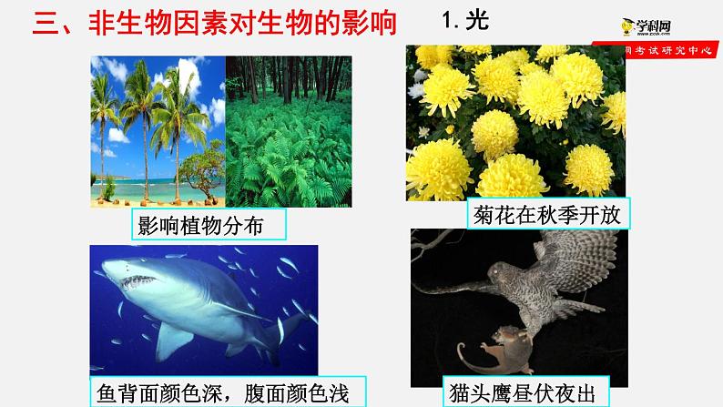 1.2.1 生物与环境的关系(第1课时)(课件)-2021-2022学年七年级生物上册(人教版)第5页