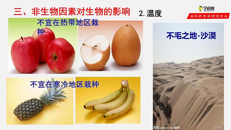 1.2.1 生物与环境的关系(第1课时)(课件)-2021-2022学年七年级生物上册(人教版)第7页