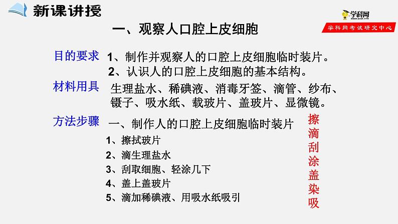 2.1.3 动物细胞(课件)-2021-2022学年七年级生物上册(人教版)第4页