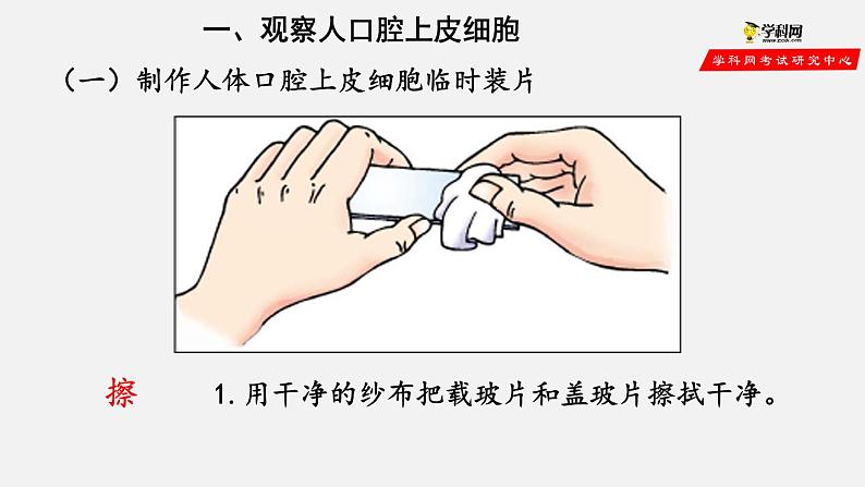2.1.3 动物细胞(课件)-2021-2022学年七年级生物上册(人教版)第5页