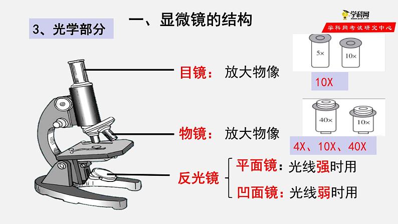 2.1.1 练习使用显微镜(课件)-2021-2022学年七年级生物上册(人教版)04