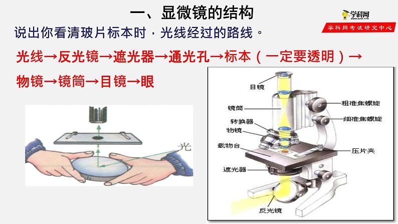 2.1.1 练习使用显微镜(课件)-2021-2022学年七年级生物上册(人教版)05