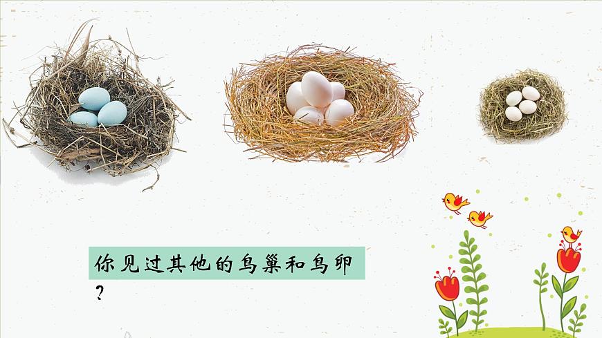 7.1.4 鳥的生殖和發(fā)育-2021-2022學(xué)年八年級(jí)生物下學(xué)期課件（人教版）第5頁
