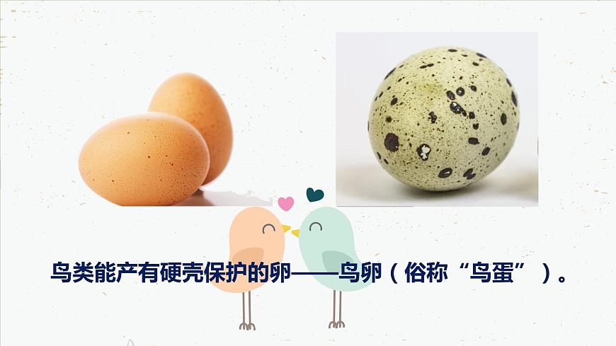 7.1.4 鳥的生殖和發(fā)育-2021-2022學(xué)年八年級(jí)生物下學(xué)期課件（人教版）第6頁