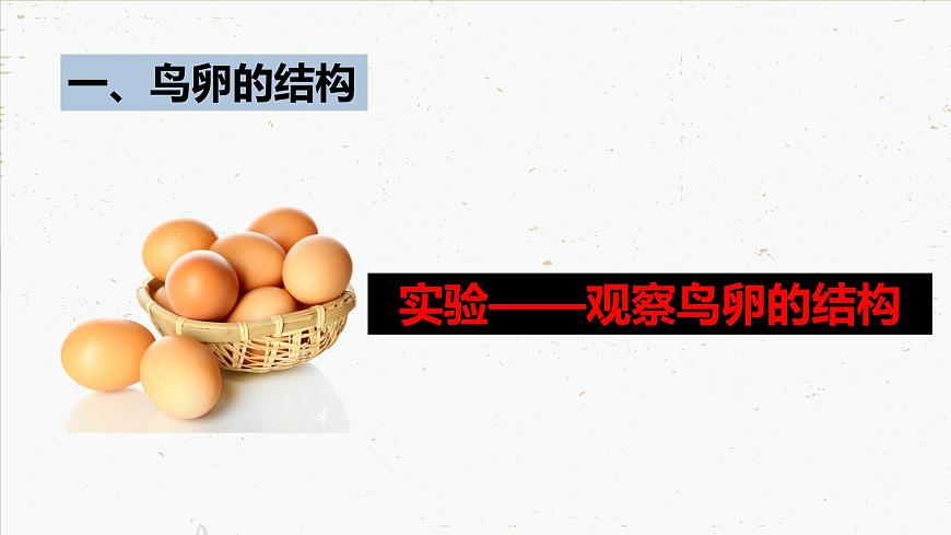 7.1.4 鳥的生殖和發(fā)育-2021-2022學(xué)年八年級(jí)生物下學(xué)期課件（人教版）第7頁