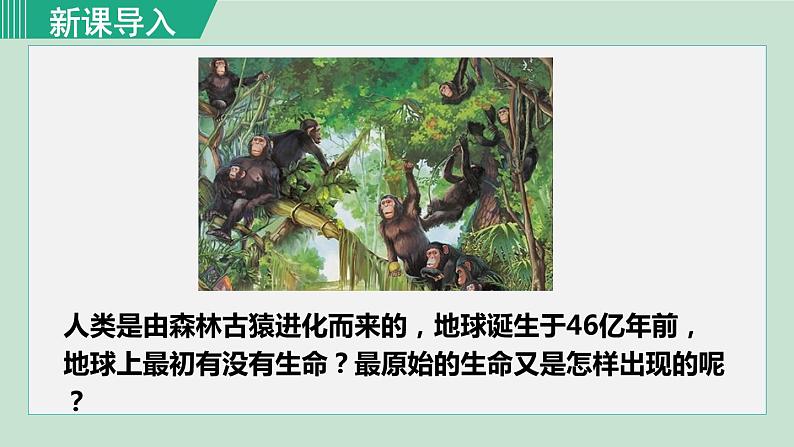 第一节 地球上生命的起源第1页
