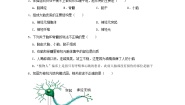 人教版 (新课标)七年级下册第四单元 生物圈中的人第六章 人体生命活动的调节第二节 神经系统的组成课堂检测