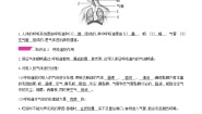 生物七年级下册第一节 呼吸道对空气的处理课堂检测