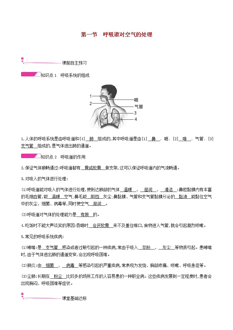 七年级生物下册4.3.1呼吸道对空气的处理练习新人教版第1页