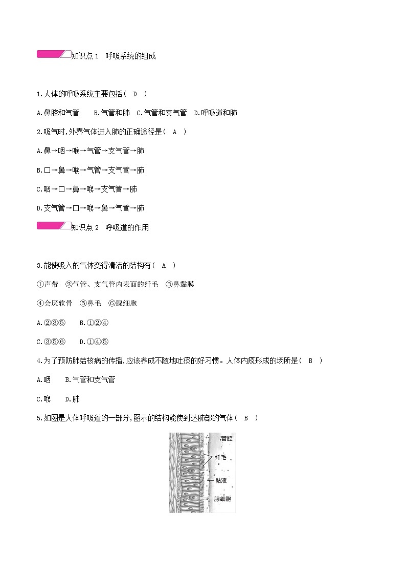 七年级生物下册4.3.1呼吸道对空气的处理练习新人教版第2页