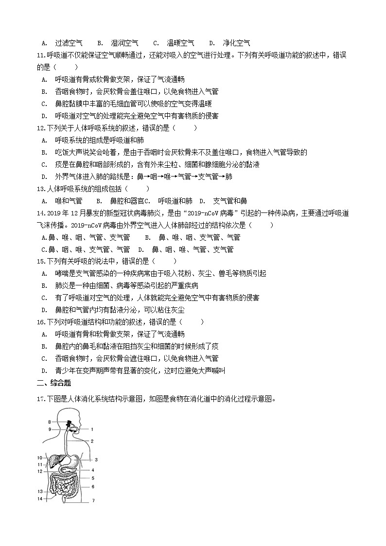 七年级生物下册4.3.1呼吸道对空气的处理同步练习新人教版02