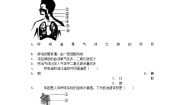 初中生物人教版 (新课标)七年级下册第四单元 生物圈中的人第三章 人体的呼吸第一节 呼吸道对空气的处理课后练习题