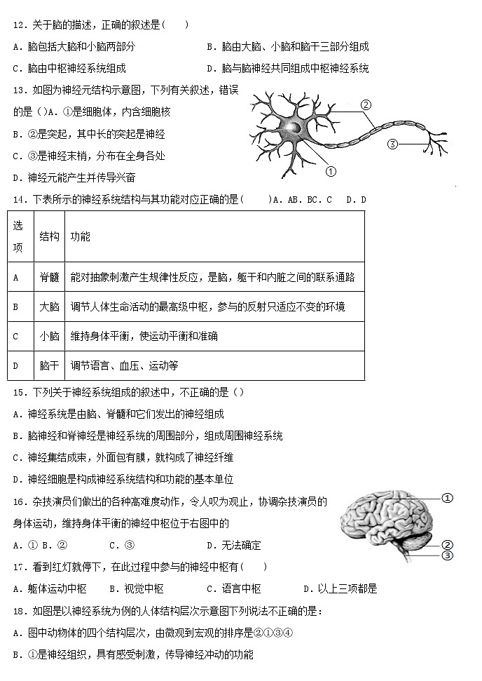 七年级生物下册4.6.2神经系统的组成习题新人教版第2页
