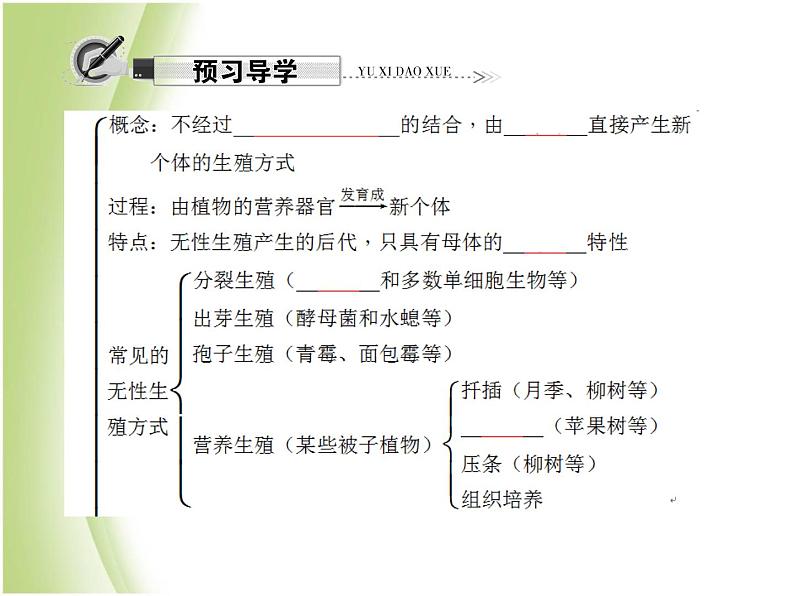 八年级生物下册第七单元生物圈中生命的延续和发展第一章生物的生殖和发育第一节植物的生殖作业课件新人教版第5页