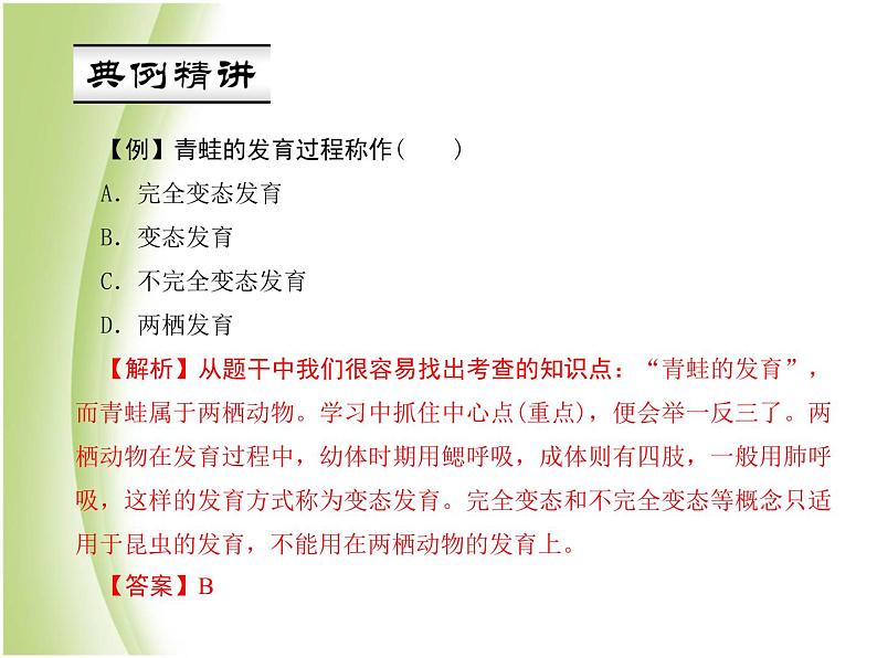 八年级生物下册第七单元生物圈中生命的延续和发展第一章生物的生殖和发育第三节两栖动物的生殖和发育作业课件新人教版05