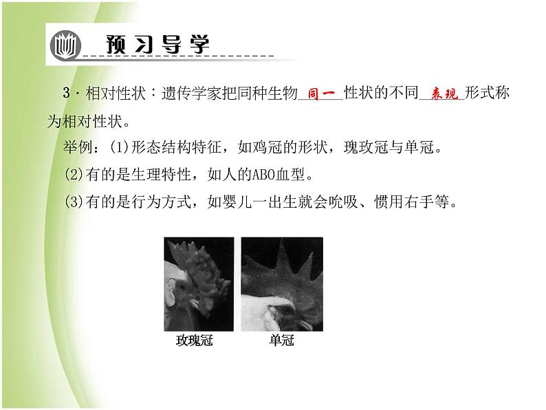 八年级生物下册第七单元生物圈中生命的延续和发展第二章生物的遗传与变异第一节基因控制生物的性状作业课件新人教版第8页