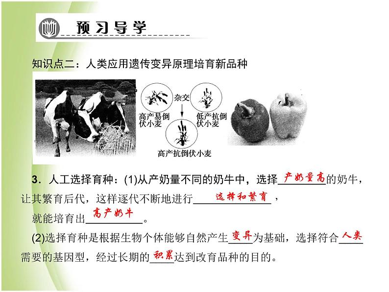 八年级生物下册第七单元生物圈中生命的延续和发展第二章生物的遗传与变异第五节生物的变异作业课件新人教版第6页