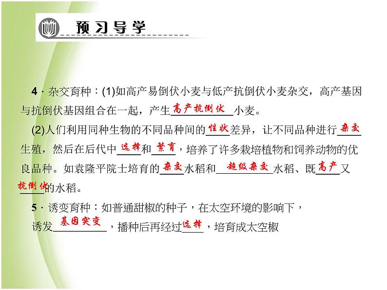 八年级生物下册第七单元生物圈中生命的延续和发展第二章生物的遗传与变异第五节生物的变异作业课件新人教版第7页