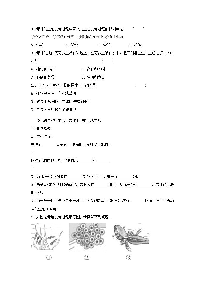八年级生物下册7.1.3两栖动物的生殖和发育习题1新人教版02