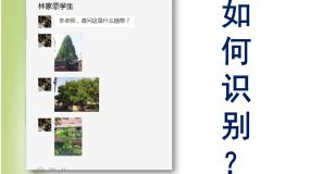 初中生物沪教版八年级下册 生命科学第四节 生物的分类图片课件ppt
