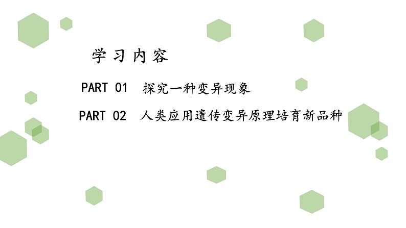 人教版八年级生物下册7.2.5生物的变异 课件+ 素材03