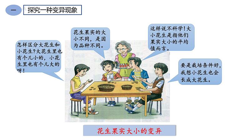 人教版八年级生物下册7.2.5生物的变异 课件+ 素材06