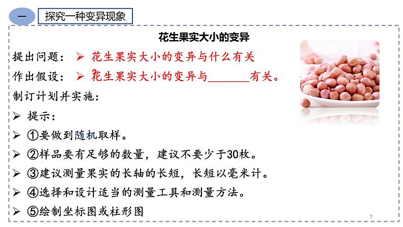 人教版八年级生物下册7.2.5生物的变异 课件+ 素材07