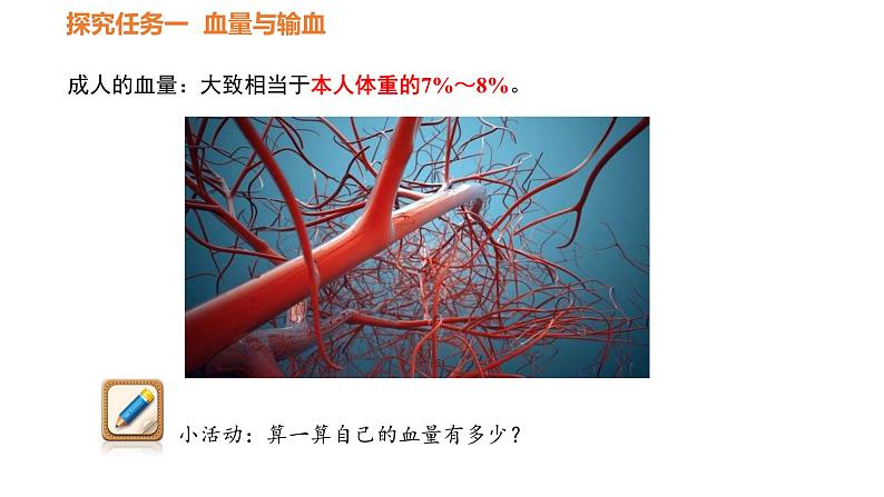人教版七年级生物下册----4.4.4 输血与血型课件PPT04