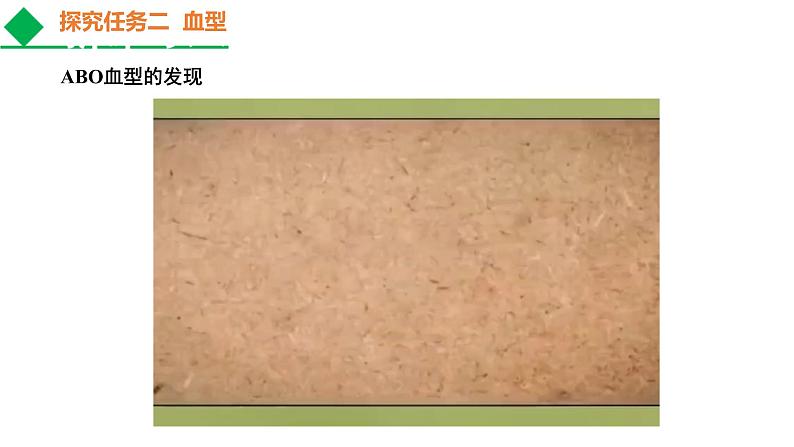 人教版七年级生物下册----4.4.4 输血与血型课件PPT06