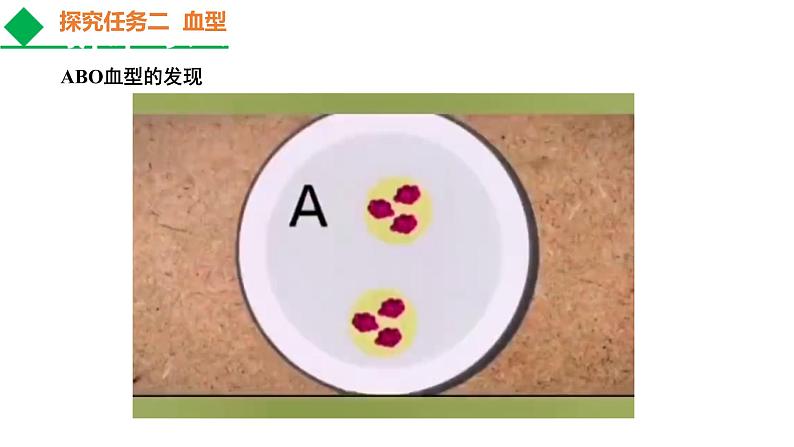 人教版七年级生物下册----4.4.4 输血与血型课件PPT07
