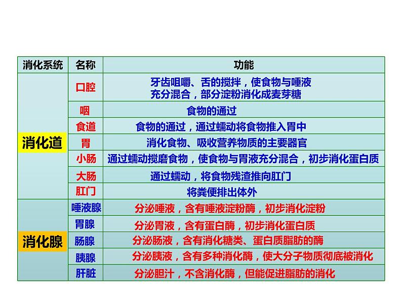人教版七年级生物下册----4.2.2消化和吸收课件PPT第5页