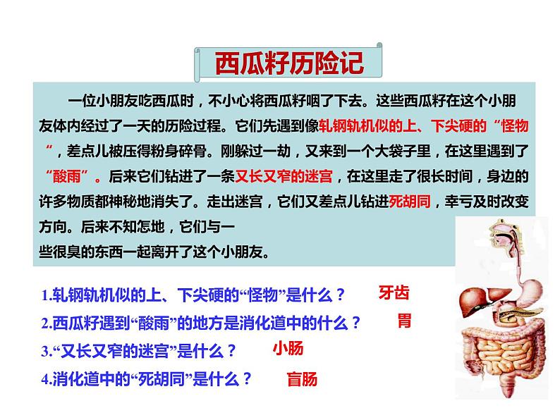 人教版七年级生物下册----4.2.2消化和吸收课件PPT第7页