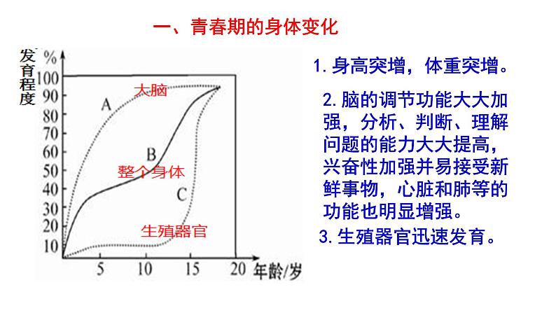 人教版七年级生物下册----4.1.3青春期(课件)第7页
