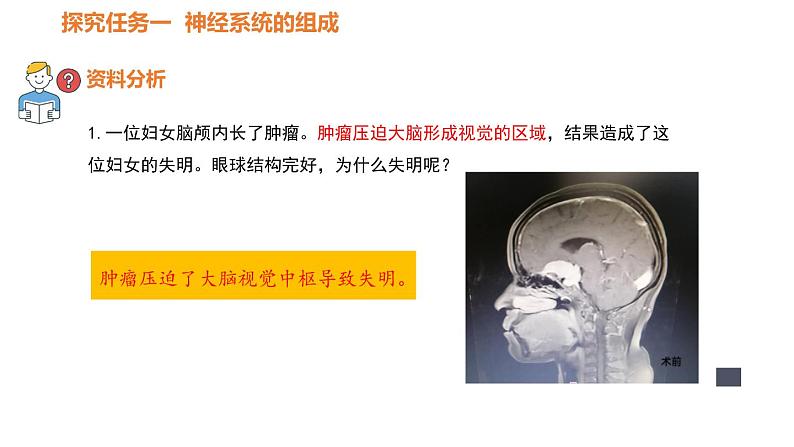 人教版七年级生物下册----4.6.2神经系统的组成-课件04