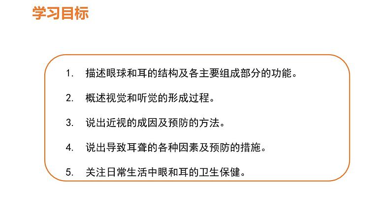 人教版七年级生物下册----4.6.1人体对外界环境的感知-课件第3页