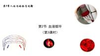 北师大版七年级下册第四单元  生物圈中的人第9章  人体内的物质运输第2节 血液循环优秀课件ppt