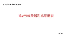 12.2感受器和感觉器官1 课件 北师大版七年级生物下册