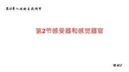 12.2感受器和感觉器官2 课件 北师大版七年级生物下册