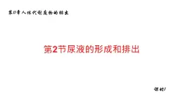 11.2尿的形成与排除1 课件 北师大版七年级生物下册