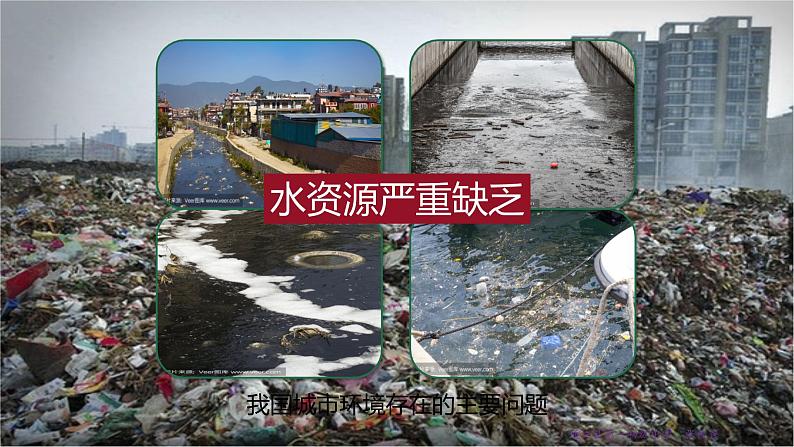 24.3 关注城市环境 课件 北师大版八年级下册生物第4页